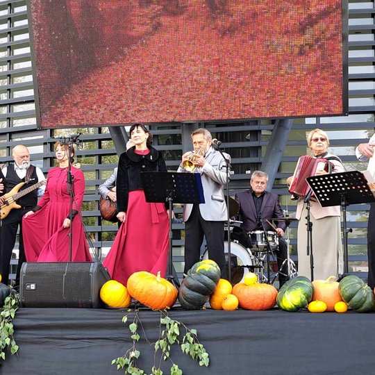 Iliustracija