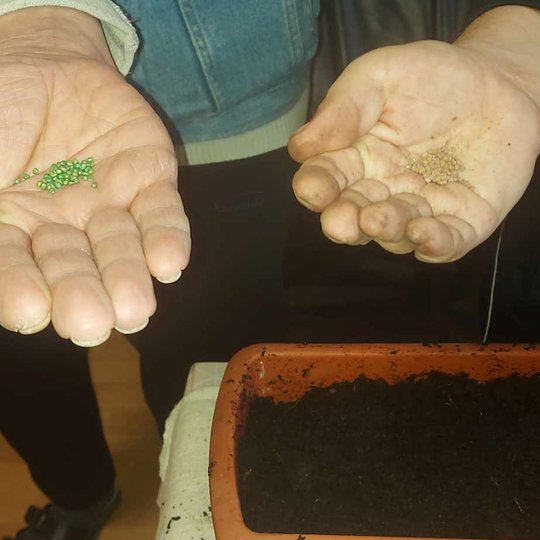 Iliustracija