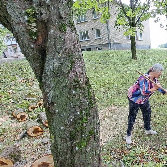 Iliustracija