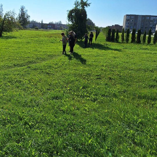 Iliustracija