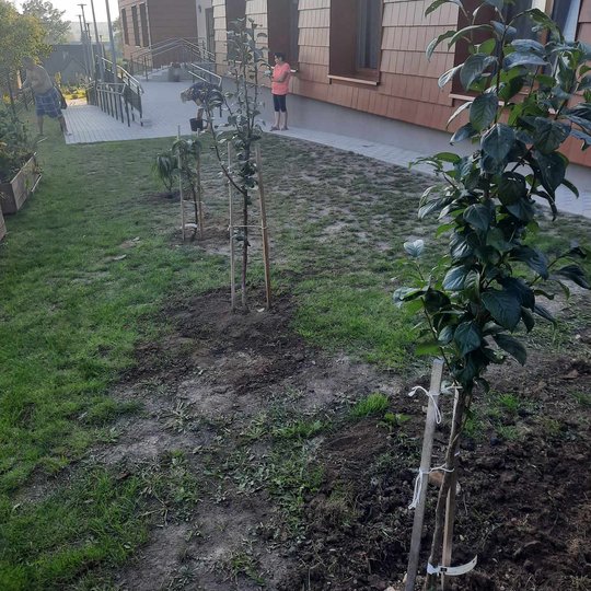 Iliustracija