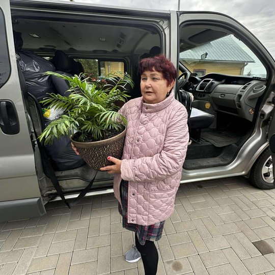 Iliustracija