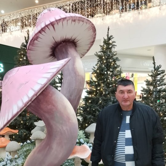 Iliustracija