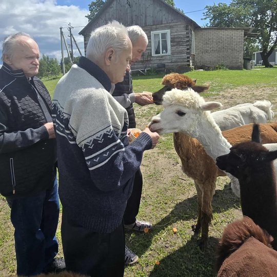 Iliustracija