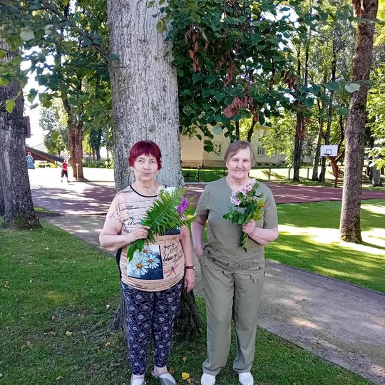 Iliustracija