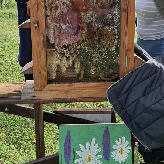 Iliustracija