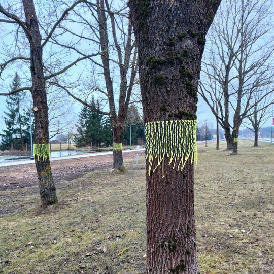 Iliustracija