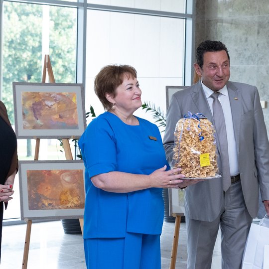 Iliustracija