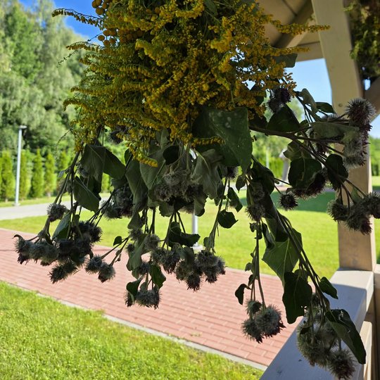 Iliustracija